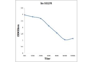 ELISA image for anti-Nuclear Factor of kappa Light Polypeptide Gene Enhancer in B-Cells Inhibitor, epsilon (NFKBIE) (pSer157) antibody (ABIN710726)