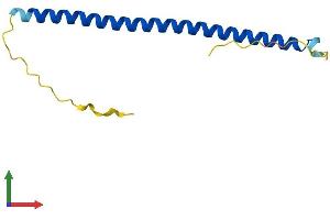 Protein Structure (PS) image for Basic Leucine Zipper Transcriptional Factor ATF-Like 3 (BATF3) (AA 1-118) protein (His tag) (ABIN7560901)