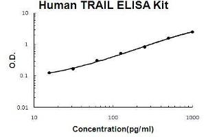 Human TRAIL PicoKine ELISA Kit standard curve