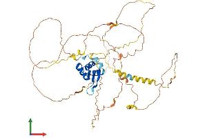 Protein Structure (PS) image for Forkhead Box D3 (FOXD3) (AA 1-478) protein (His tag) (ABIN7547708)