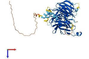 DCAF12 Protein (AA 1-453) (His tag)