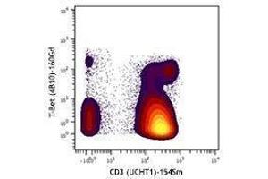 Flow Cytometry (FACS) image for anti-T-Bet antibody (ABIN2665380)