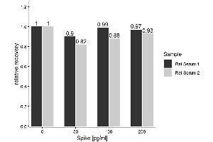 The Rat Aβ1-42 (Amyloid Beta 1-42) ELISA Kitwas tested for Spiking and Recovery.