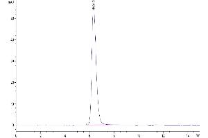 Size-exclusion chromatography-High Pressure Liquid Chromatography (SEC-HPLC) image for Interleukin 4 Receptor (IL4R) (AA 24-232) protein (Fc Tag) (ABIN7274993)