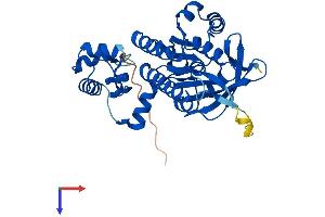 DMC1 Protein (AA 1-340) (His tag)