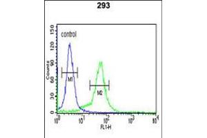 Flow cytometric analysis of 293 cells (right histogram) compared to a negative control cell (left histogram). (BTBD1 Antikörper  (AA 295-322))