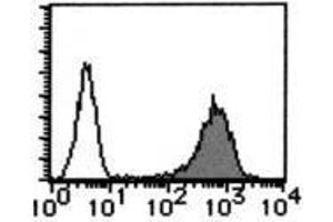 Flow Cytometry (FACS) image for anti-CD59 (CD59) antibody (ABIN1449269) (CD59 Antikörper)