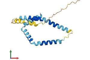 Protein Structure (PS) image for FUN14 Domain Containing 1 (FUNDC1) (AA 1-155) protein (His tag) (ABIN7561263)