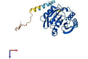METTL21C Protein (AA 1-248) (His tag)