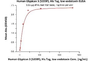 Immobilized Human FGF basic, Tag Free (ABIN2444057,ABIN2180650,ABIN2180649) at 0. (Glypican 3 Protein (GPC3) (AA 25-559) (His tag))