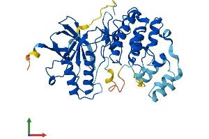 Protein Structure (PS) image for Mitogen-Activated Protein Kinase 13 (MAPK13) (AA 1-365) protein (His tag) (ABIN7554590)