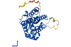 Protein Structure (PS) image for Deoxycytidine Kinase (DCK) (AA 1-260) protein (His tag) (ABIN7563262)