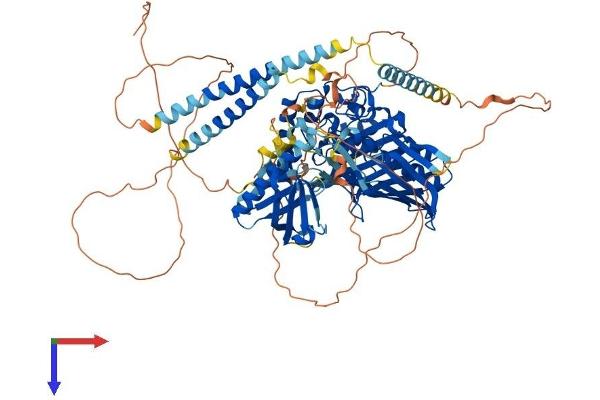 OSBPL3 Protein (AA 1-887) (His tag)