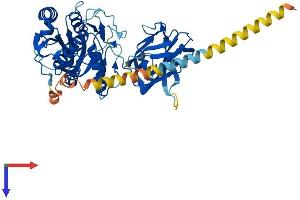 MGAT4C Protein (AA 1-478) (His tag)