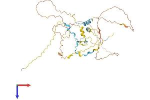 CDC42EP1 Protein (AA 1-409) (His tag)
