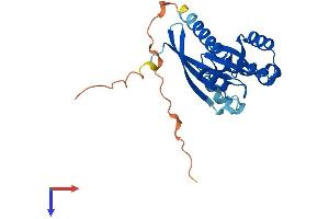RAB3A Protein (AA 1-220) (His tag)