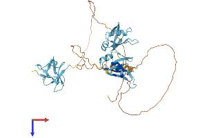 TARDBP Protein (AA 1-414) (His tag)
