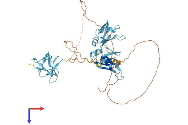 TARDBP Protein (AA 1-414) (His tag)