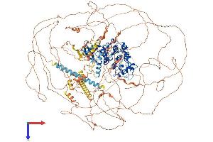 CDK13 Protein (AA 1-1512) (His tag)