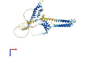 Vangl1 Protein (AA 1-524) (His tag)