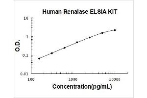 Renalase, FAD-Dependent Amine Oxidase (RNLS) ELISA Kit