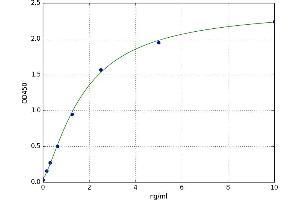 Ubiquitin Specific Peptidase 18 (USP18) ELISA Kit