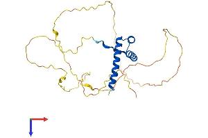 HOXD12 Protein (AA 1-270) (His tag)