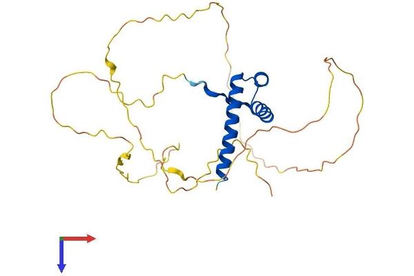 HOXD12 Protein (AA 1-270) (His tag)