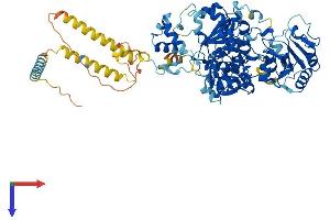 MGAT5 Protein (AA 1-741) (His tag)
