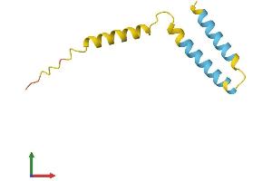 AlphaFold protein structure predicition of Human Recombinant SMIM10 Protein, UniprotID Q96HG1