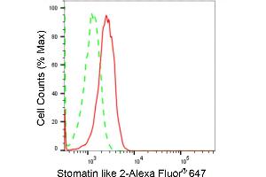 Flow cytometric analysis of Stomatin like 2 expression in HepG2 cells using Stomatin like 2 antibody (ABIN7800442), 1:2,000). (Rekombinanter STOML2 Antikörper)