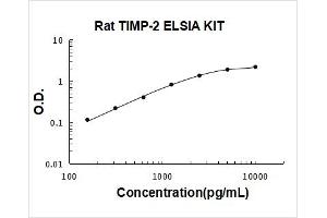 Metalloproteinase Inhibitor 2 (TIMP2) ELISA Kit