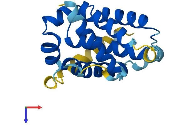 BCL2A1 Protein (AA 1-172) (His tag)