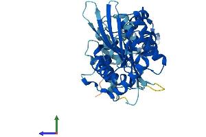 Protein Structure (PS) image for Apolipoprotein B mRNA Editing Enzyme, Catalytic Polypeptide-Like 3F (APOBEC3F) (AA 1-373) protein (His tag) (ABIN7551758)