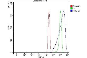 Flow Cytometry analysis of A431 cells using anti-ROCK2 antibody (ABIN7602651). (ROCK2 Antikörper  (AA 908-1386))