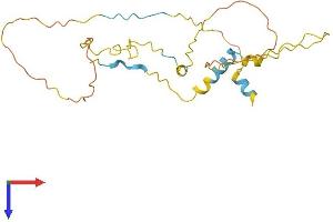 TP53INP1 Protein (AA 1-239) (His tag)