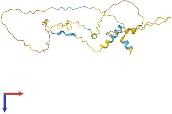 TP53INP1 Protein (AA 1-239) (His tag)