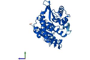 Protein Structure (PS) image for Pyridoxal Kinase (PDXK) (AA 1-312) protein (His tag) (ABIN7559461)