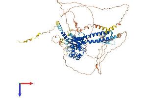 BAP1 Protein (AA 1-729) (His tag)