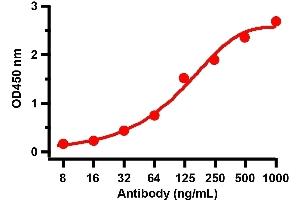 ELISA Validation with SARS-CoV-2 (COVID-19) Spike RBD+SD1 Recombinant ProteinAntibodies: SARS-CoV-2 (COVID-19) Spike RBD antibody, ABIN6952968 (1 μg/mL). (SARS-CoV-2 Spike Antikörper  (RBD))