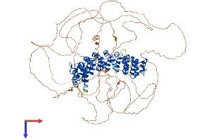 PUM2 Protein (AA 1-1066) (His tag)