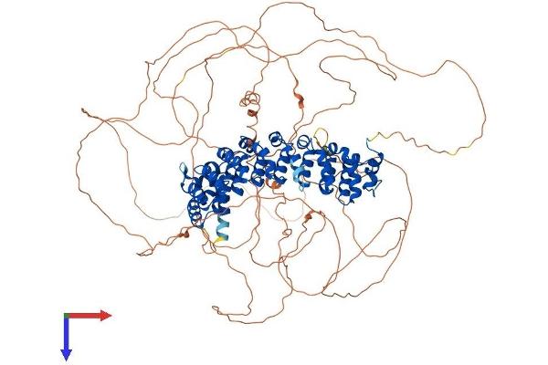 PUM2 Protein (AA 1-1066) (His tag)