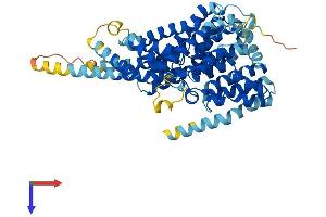 SLC13A5 Protein (AA 1-568) (His tag)