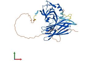 Protein Structure (PS) image for Polymerase (DNA-Directed), delta Interacting Protein 2 (POLDIP2) (AA 1-368) protein (His tag) (ABIN7550606)