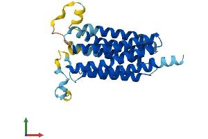 Protein Structure (PS) image for Monocyte To Macrophage Differentiation-Associated 2 (MMD2) (AA 1-270) protein (His tag) (ABIN7550497)