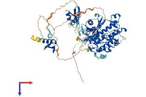RED1 Protein (AA 1-711) (His tag)