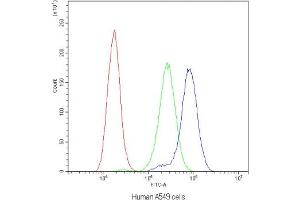 Flow cytometry testing of human A549 cells with APRT antibody at 1ug/10^6 cells (blocked with goat sera)