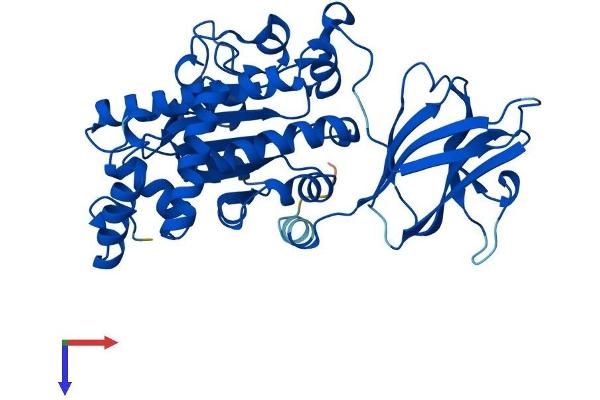 SEC14L2 Protein (AA 1-403) (His tag)