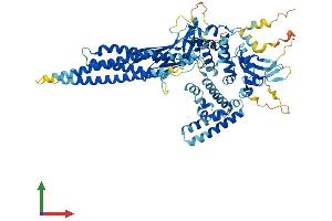AlphaFold protein structure predicition of Mouse Recombinant Stat4 Protein, UniprotID P42228