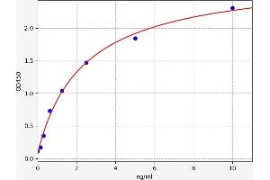 MTOR ELISA Kit